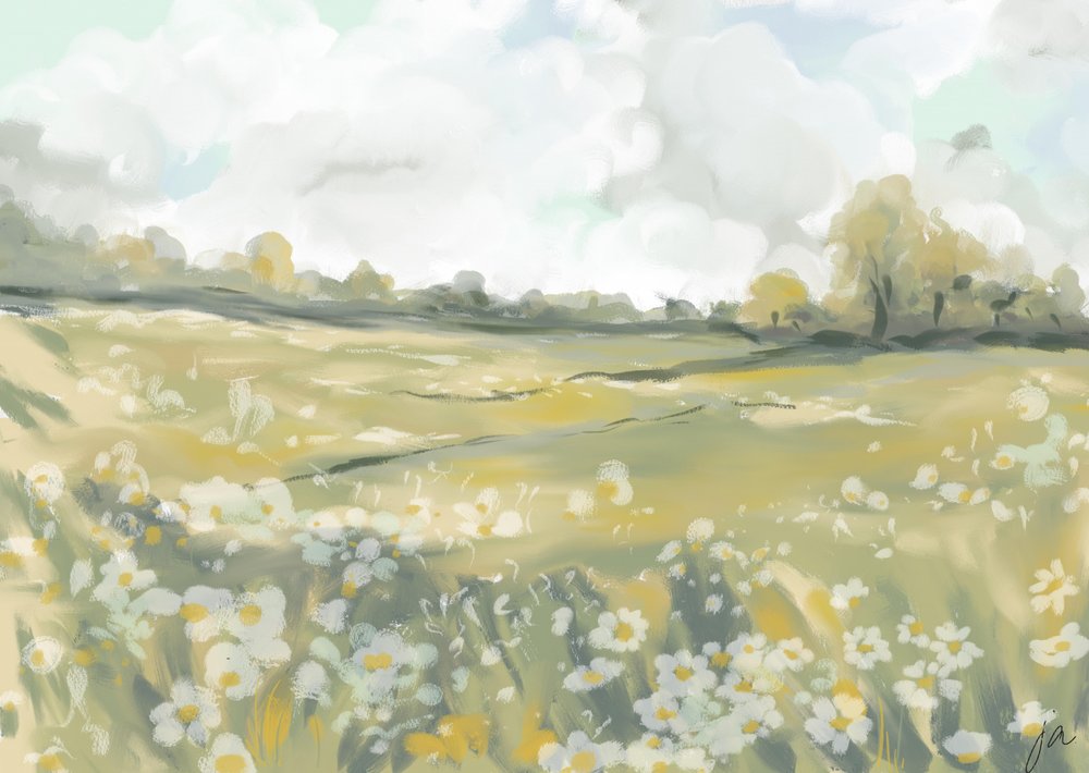 Serene Daisy Meadow by Jenna Alheit