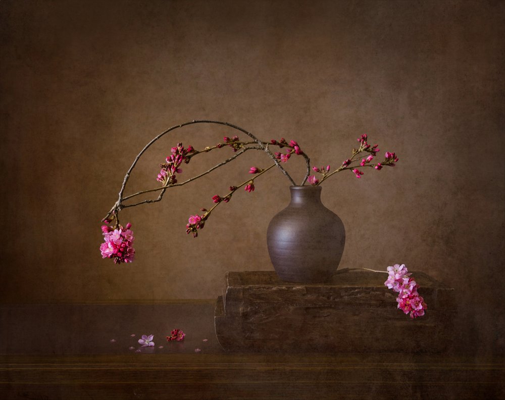 Cherry Blossom Still Life by Joanna W