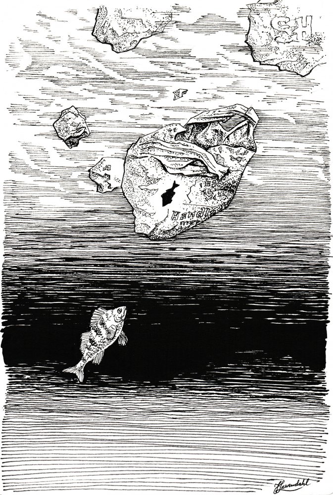 Fish Under Plastic by Johan Liewendahl