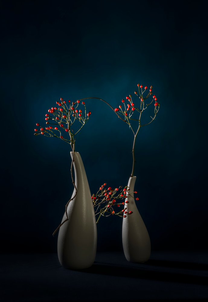 Red Berries Modern Vases by John-Mei Zhong