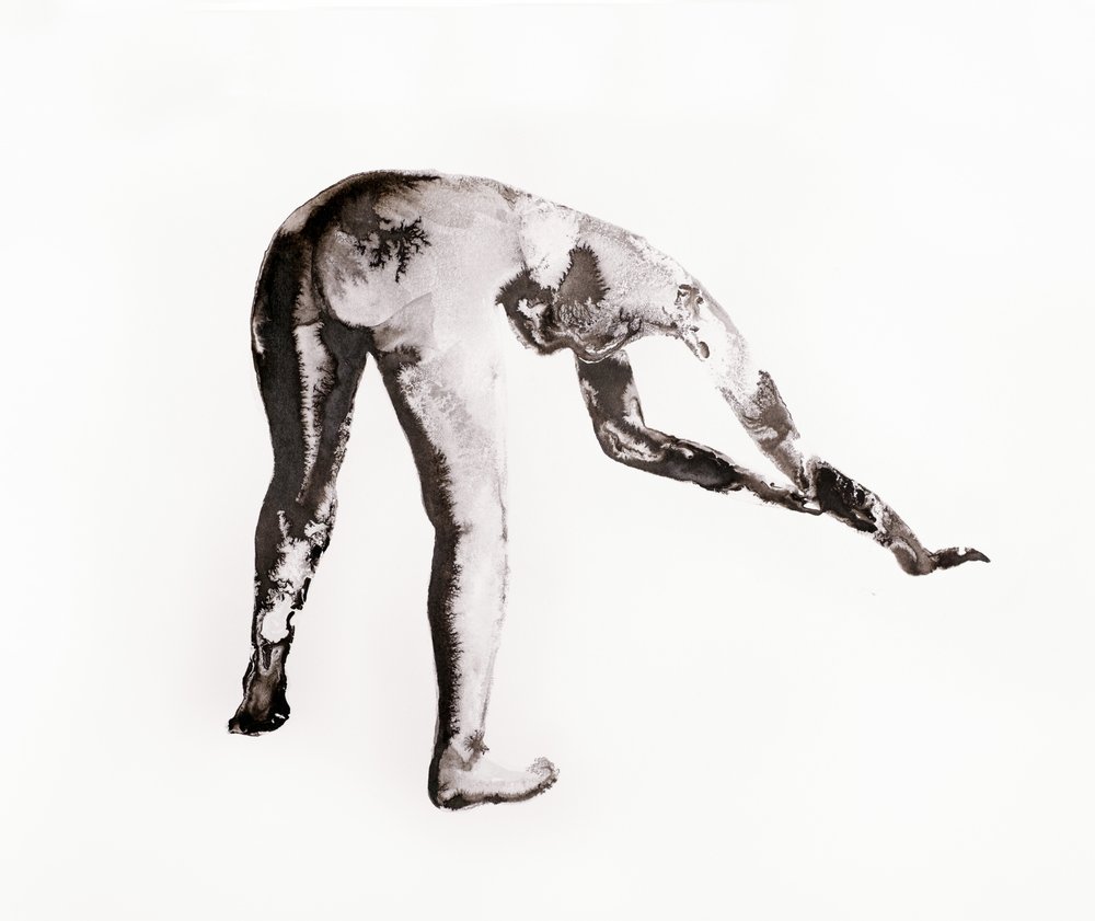 Ink Study No. 4 (bent) by Joshua Hoskins