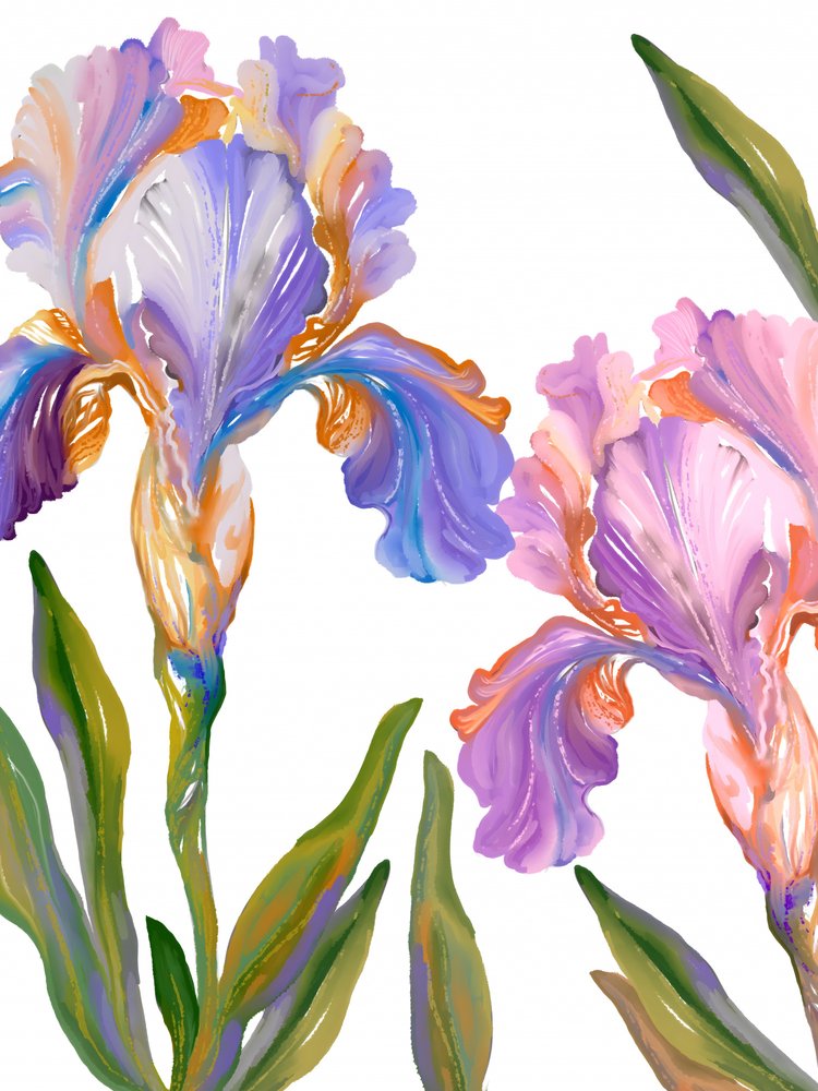 Colorful Iris Blooms by Josie George