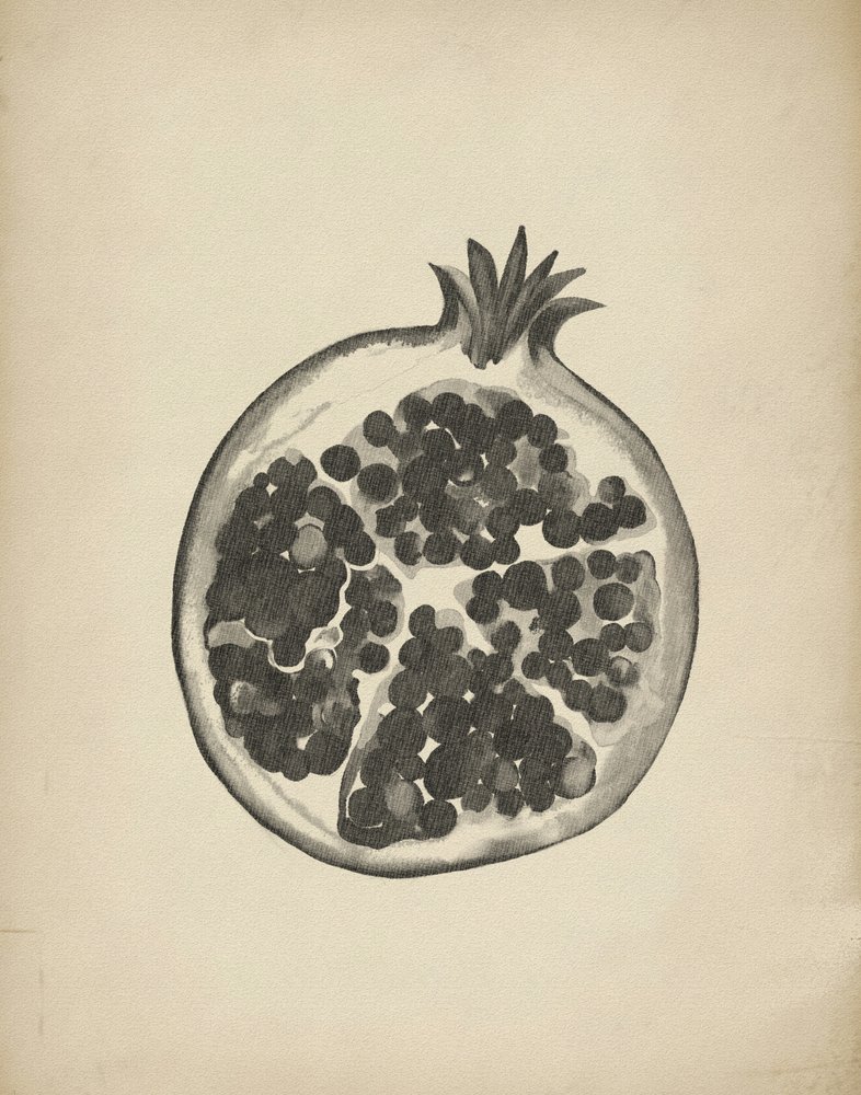 Cut Pomegranate by Josie George