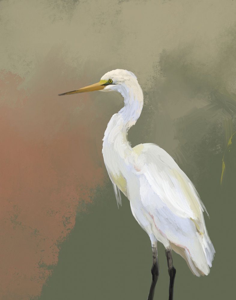 Elegant Egret Portrait by Josie George