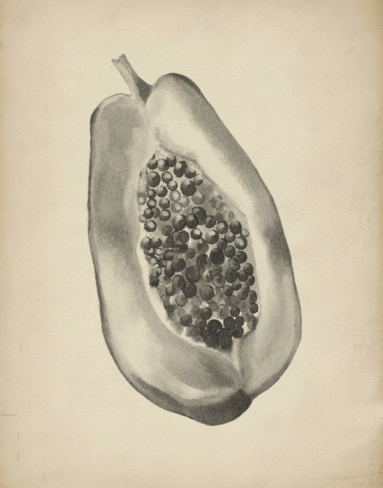 Tropical Papaya Half by Josie George