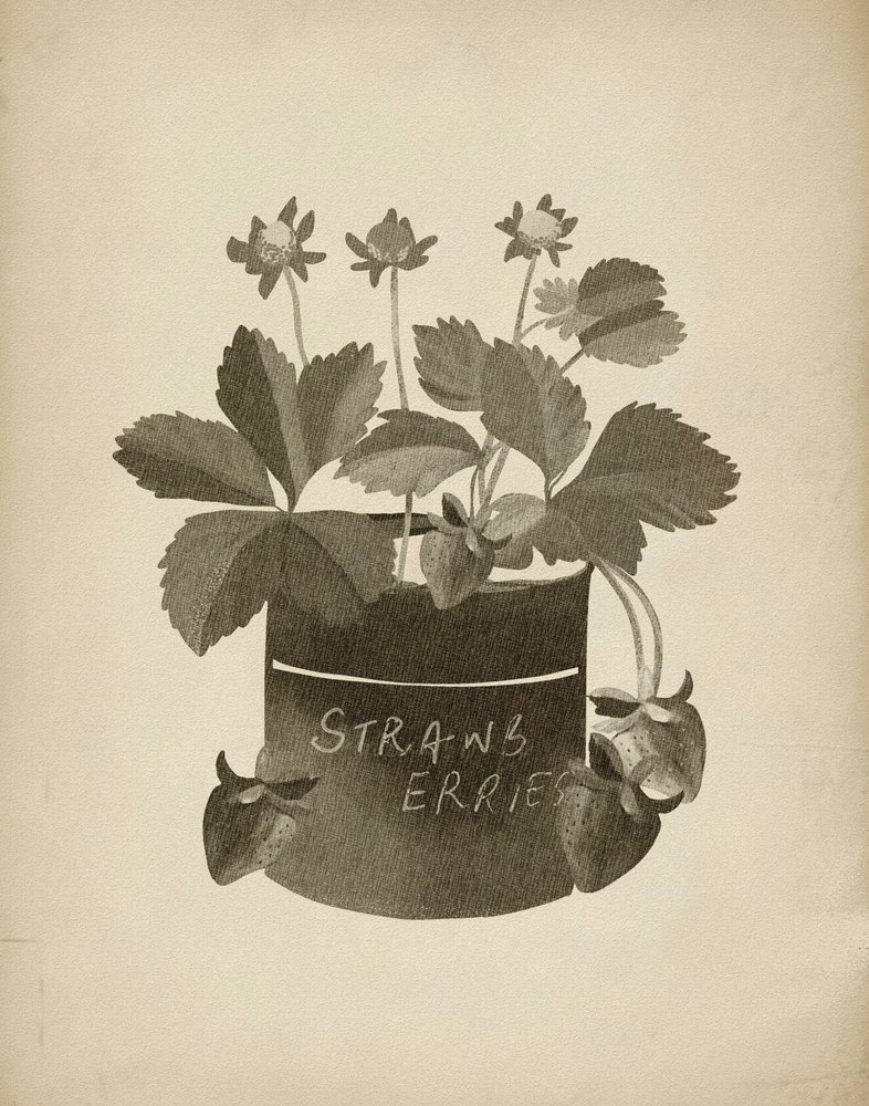 Vintage Strawberry Illustration by Josie George