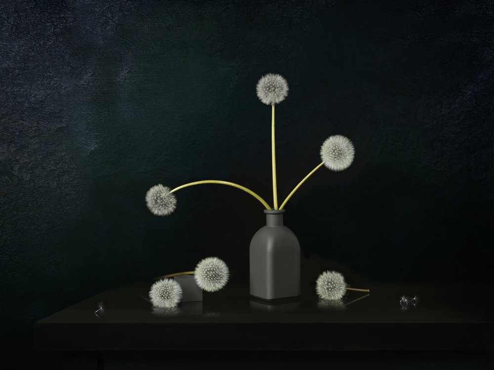 Dandelion Still Life by Juan Antonio Palacios
