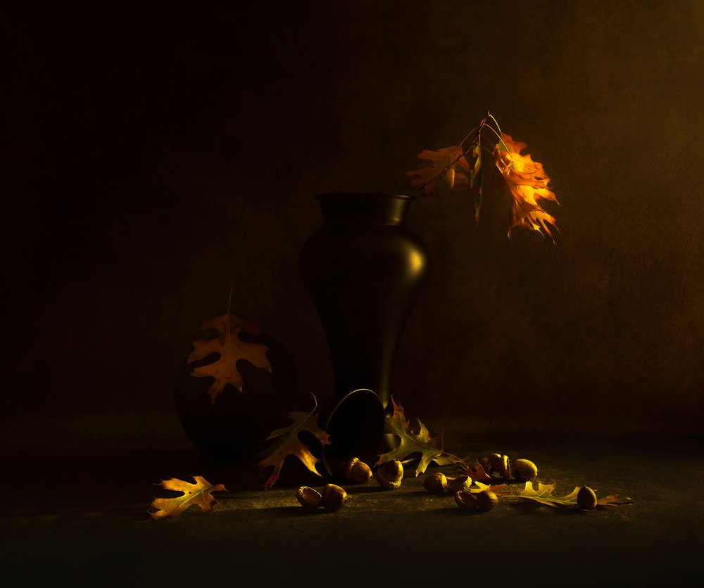 Golden Autumn Acorns by Judy Tseng