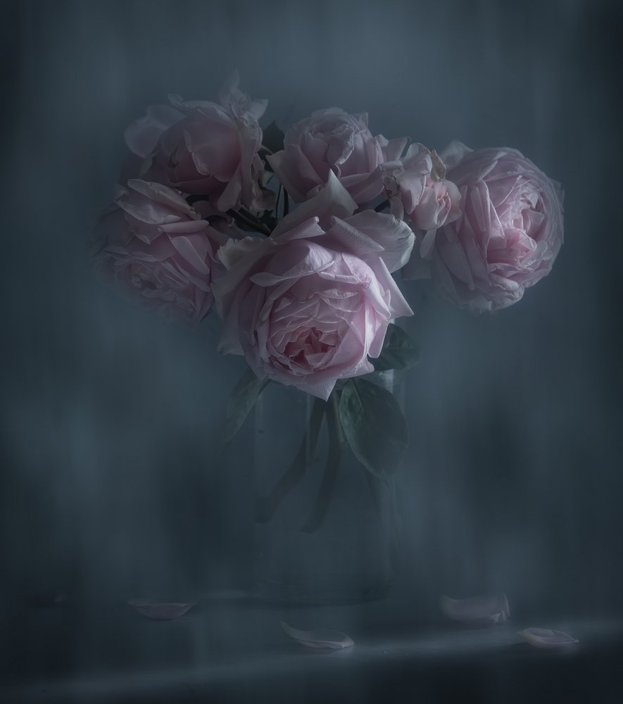 Moody Pink Roses by Judy Tseng