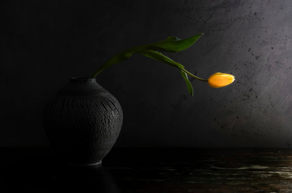 Yellow Tulip Still Life by Judy Tseng