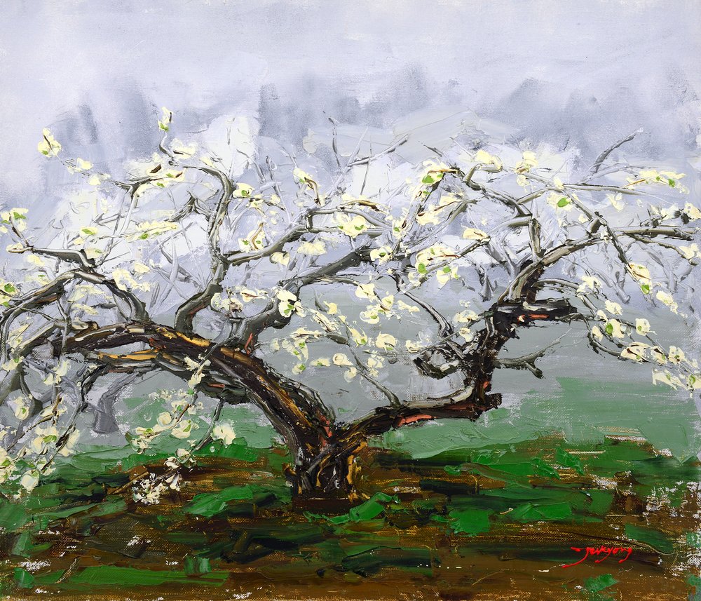 Spring Blossom Tree by Jukyong Park