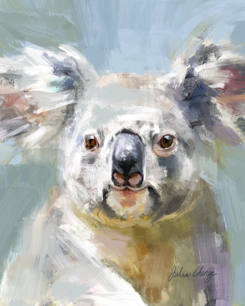 Gentle Koala Gaze by Julia Cheney