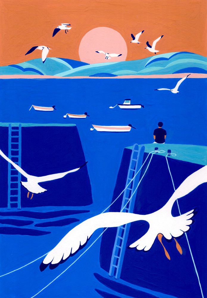 Harbor Sunset Seagulls by Julie Lesouef
