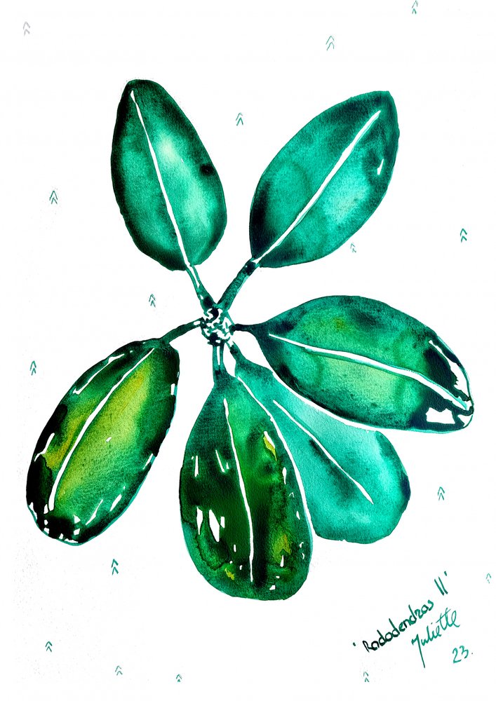 Fresh Rhododendron Leaves by Julija Belickienė