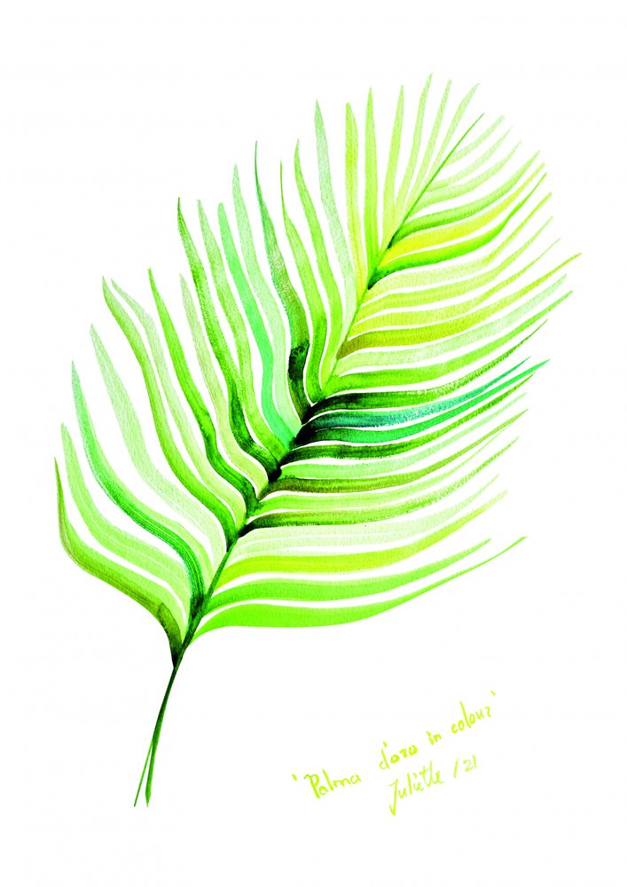 Vibrant Tropical Leaf by Julija Belickienė