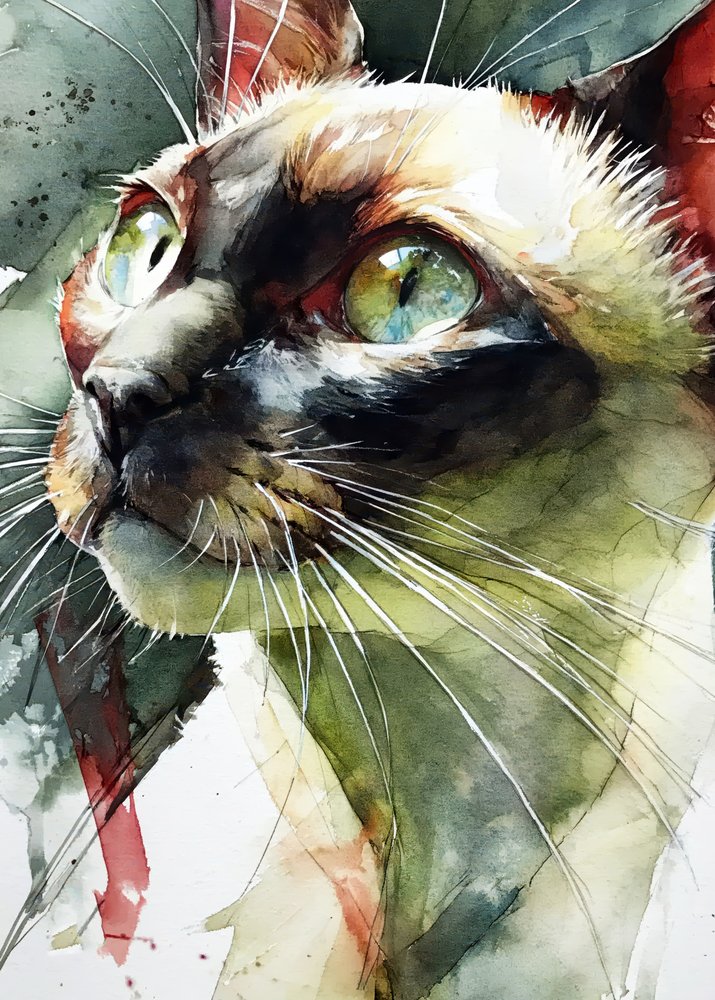 Vibrant Siamese Cat Gaze by Justyna Jaszke