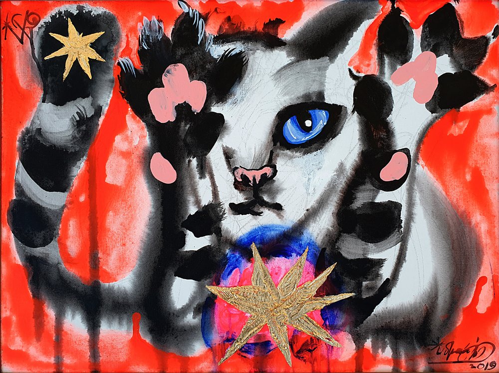 Cosmic Cat Stargazer by Kanat Ibragimov