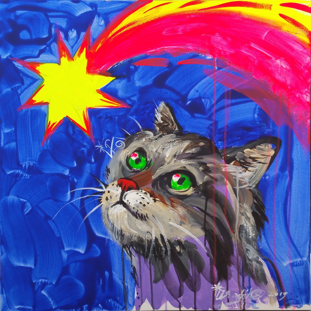 Curious Cat Star Gazing by Kanat Ibragimov