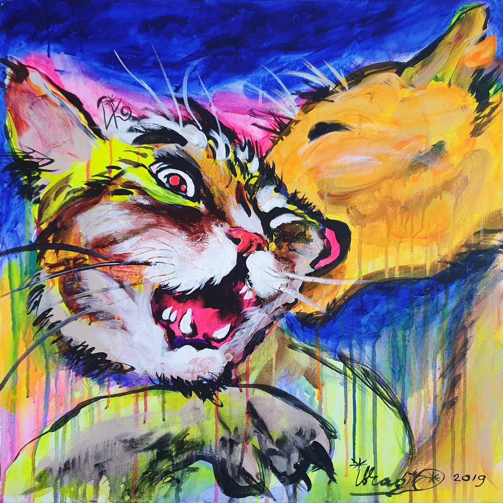 Fierce Cat Embrace by Kanat Ibragimov