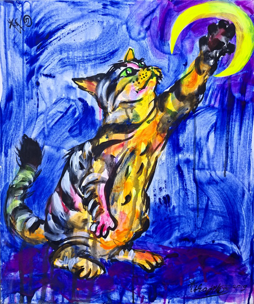 Playful Cat Moon by Kanat Ibragimov