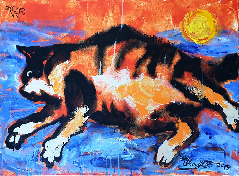 Vibrant Cat in Motion by Kanat Ibragimov