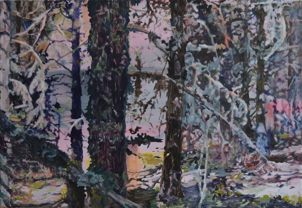 Enchanted Forest Light by Karin Bos