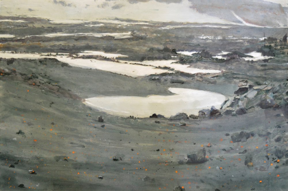 Stark Tundra Landscape by Karin Bos