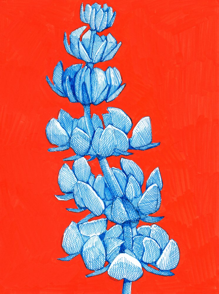 Bold Blue Bloom by Katie O'Shea
