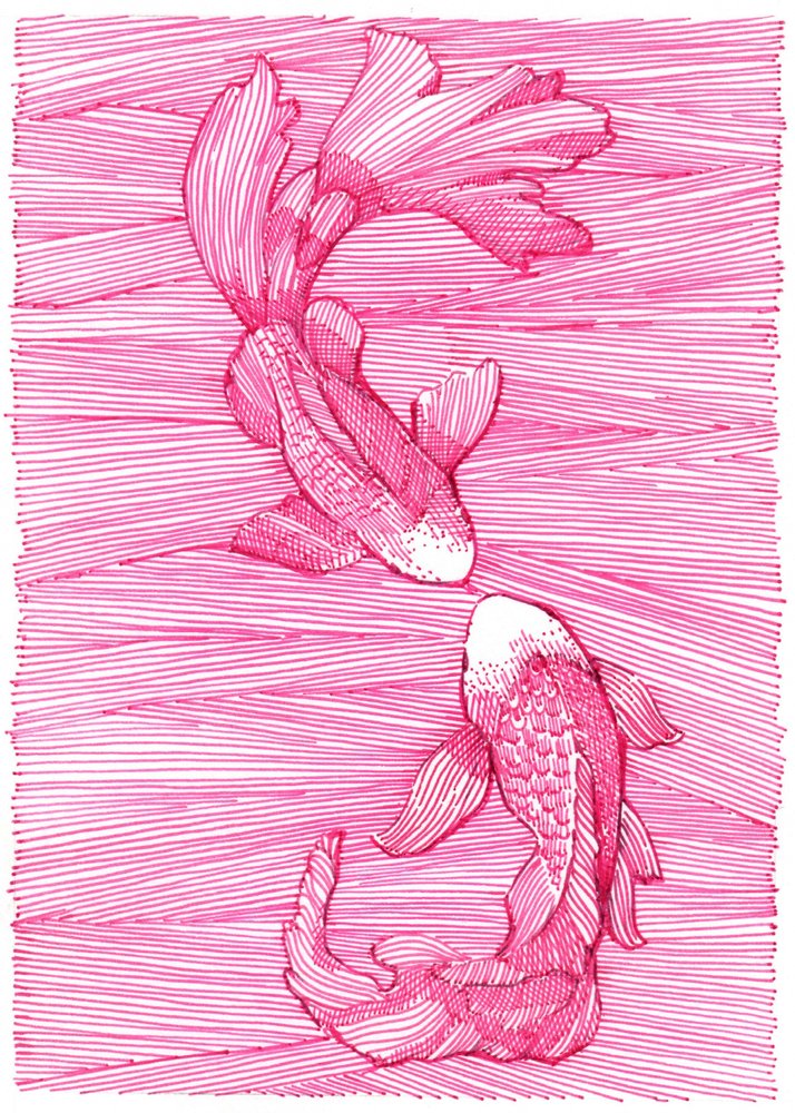 Pink Koi Dance by Katie O'Shea