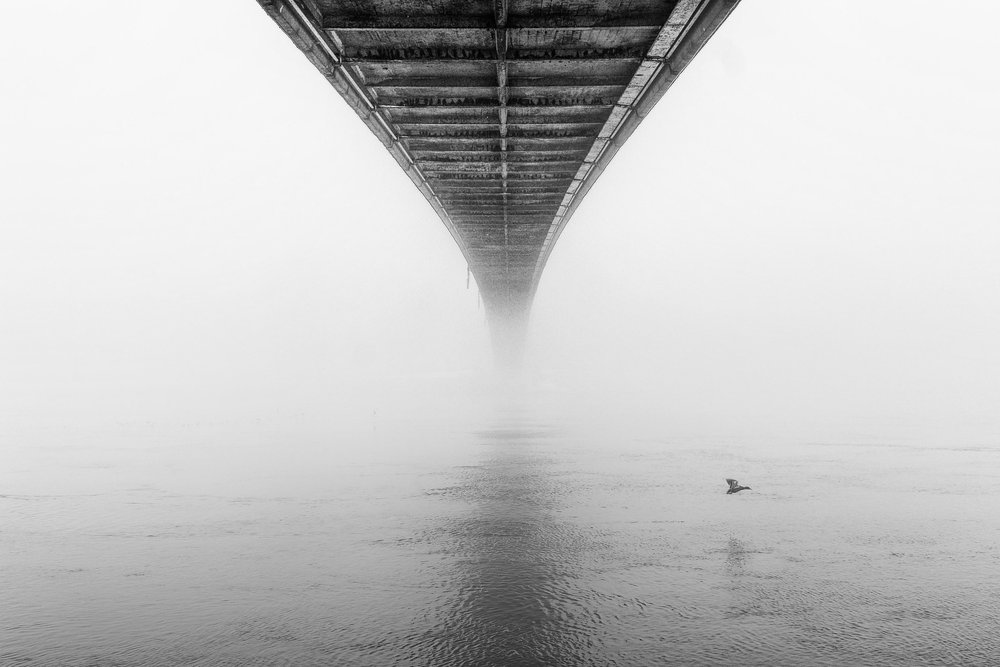 Misty Bridge and Bird by Krunoslav Nevistic