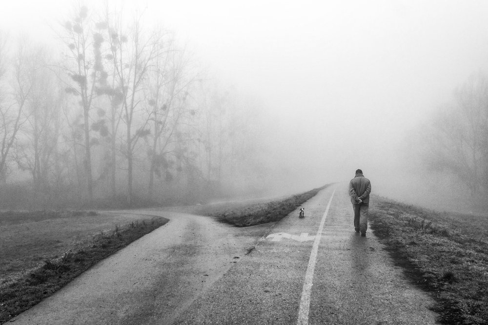 Misty Road Choices by Krunoslav Nevistic