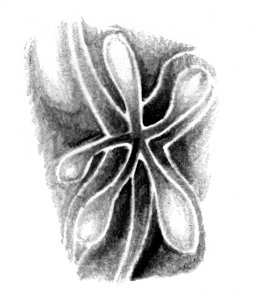 Abstract Organic Forms by Kulik: Premium art reproduction