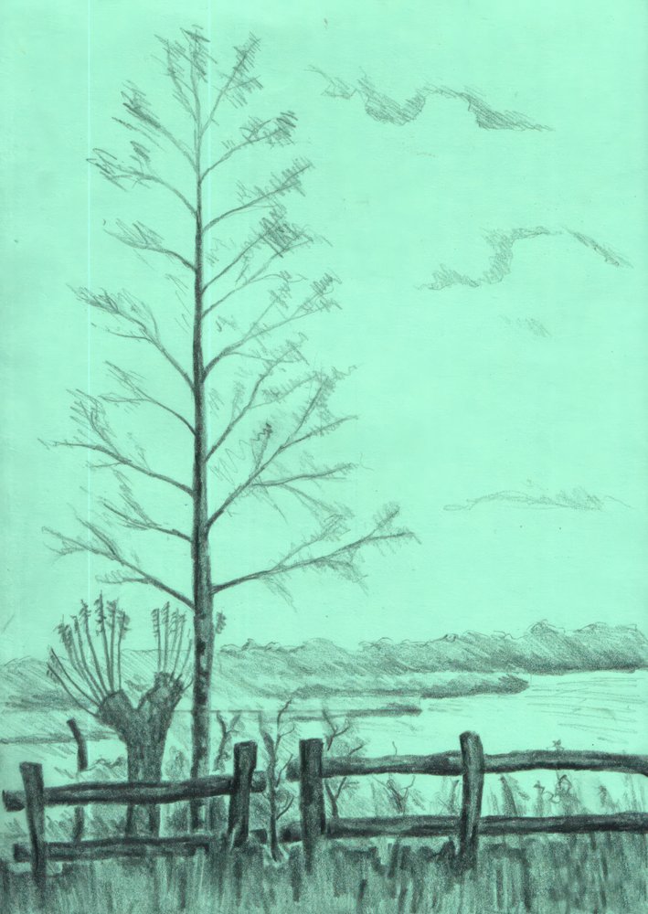 Bare Tree Landscape by Kulik