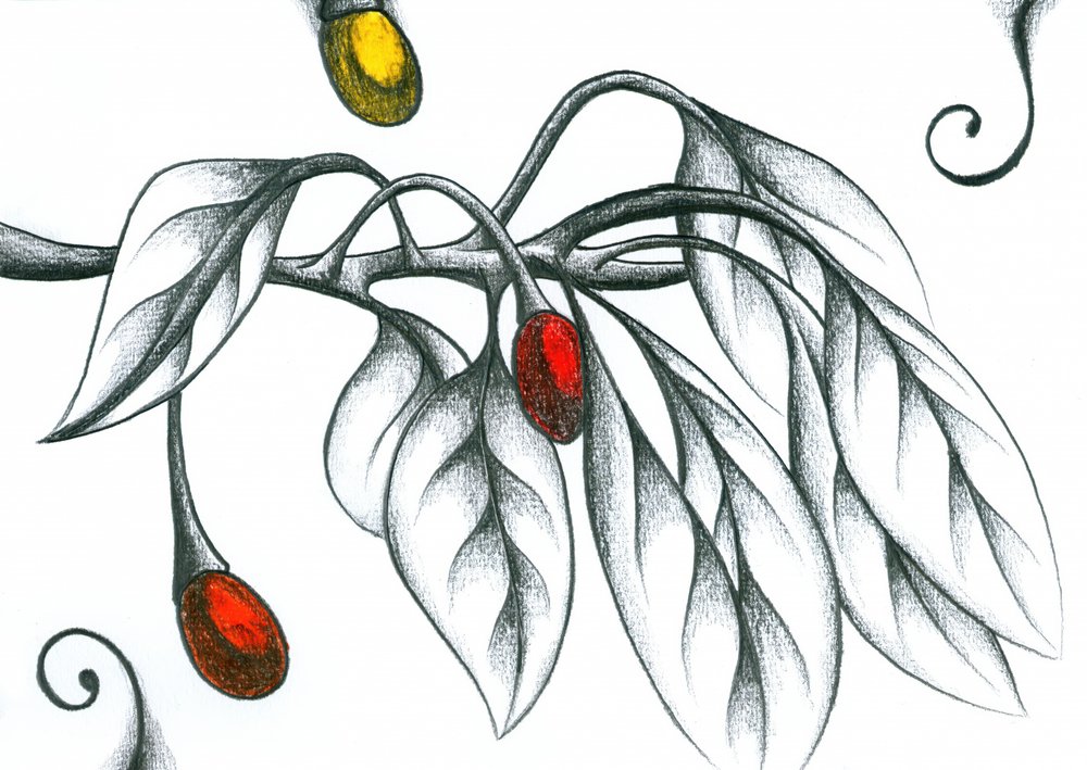 Colorful Berries Branch by Kulik