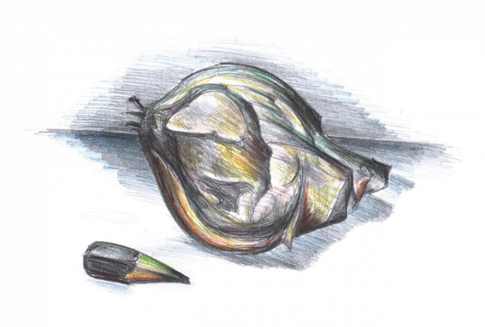Crumpled Leaf Study by Kulik