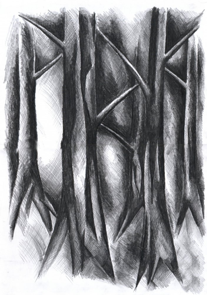 Dark Mysterious Forest by Kulik