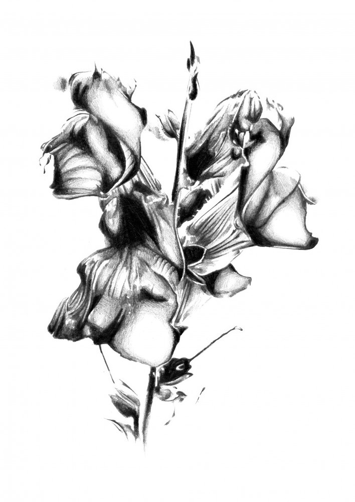 Elegant Withered Bloom by Kulik