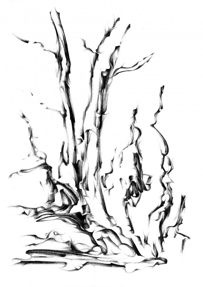 Flowing Abstract Branches by Kulik