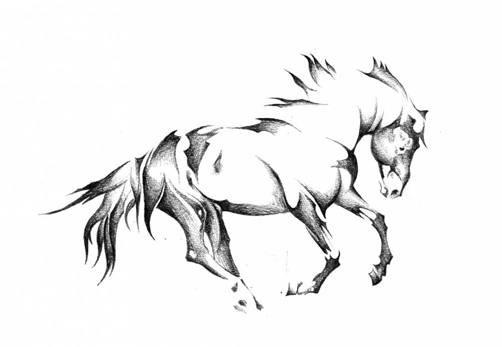 Galloping Horse Sketch by Kulik
