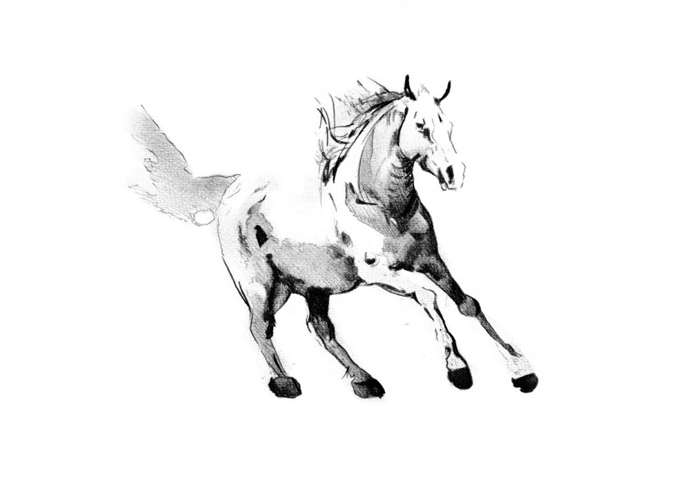 Galloping Wild Horse by Kulik