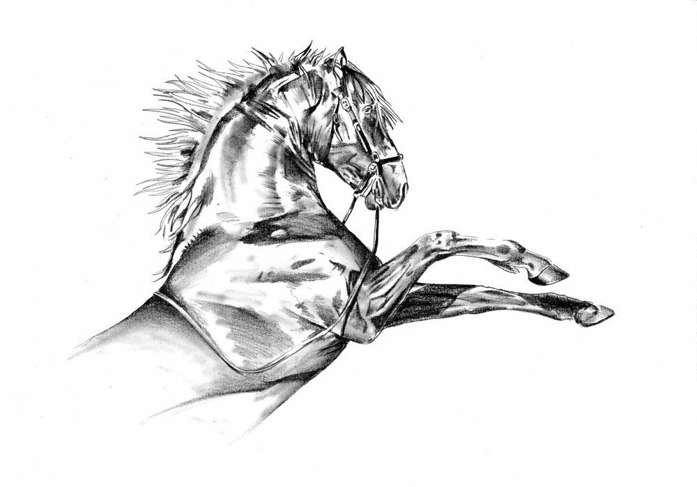 Horse 72 by Kulik