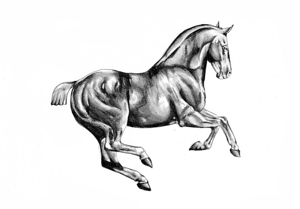 Majestic Horse Drawing by Kulik