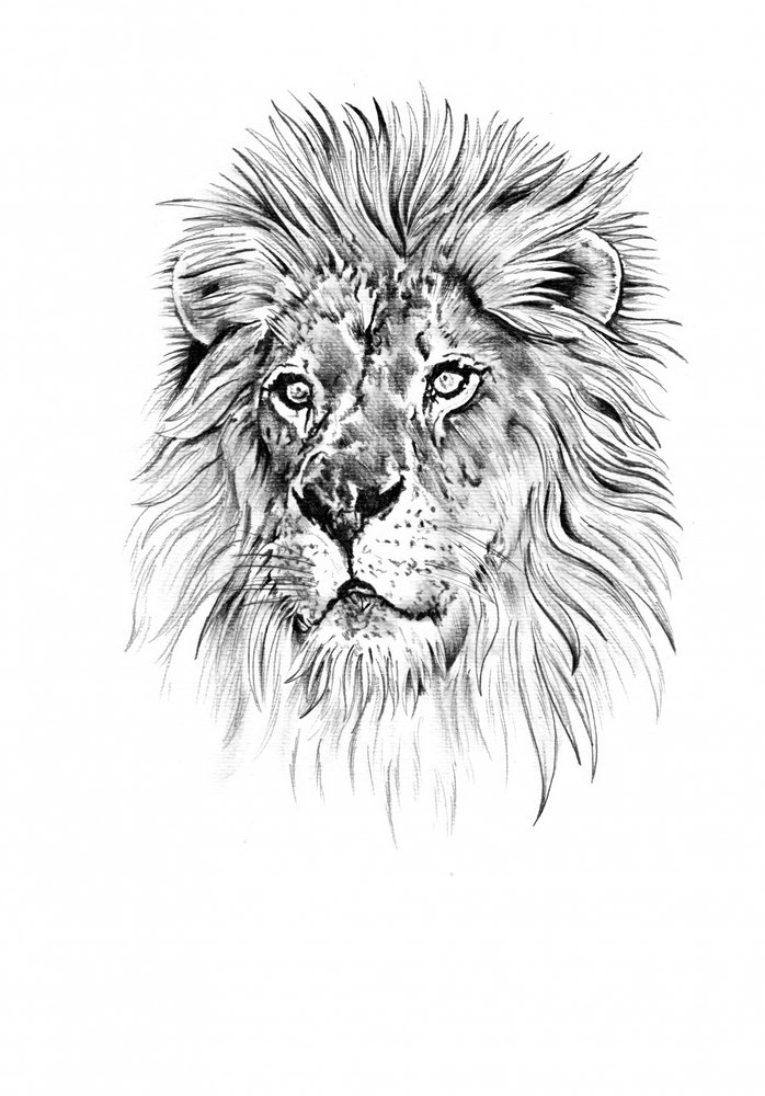 Majestic Lion Head by Kulik