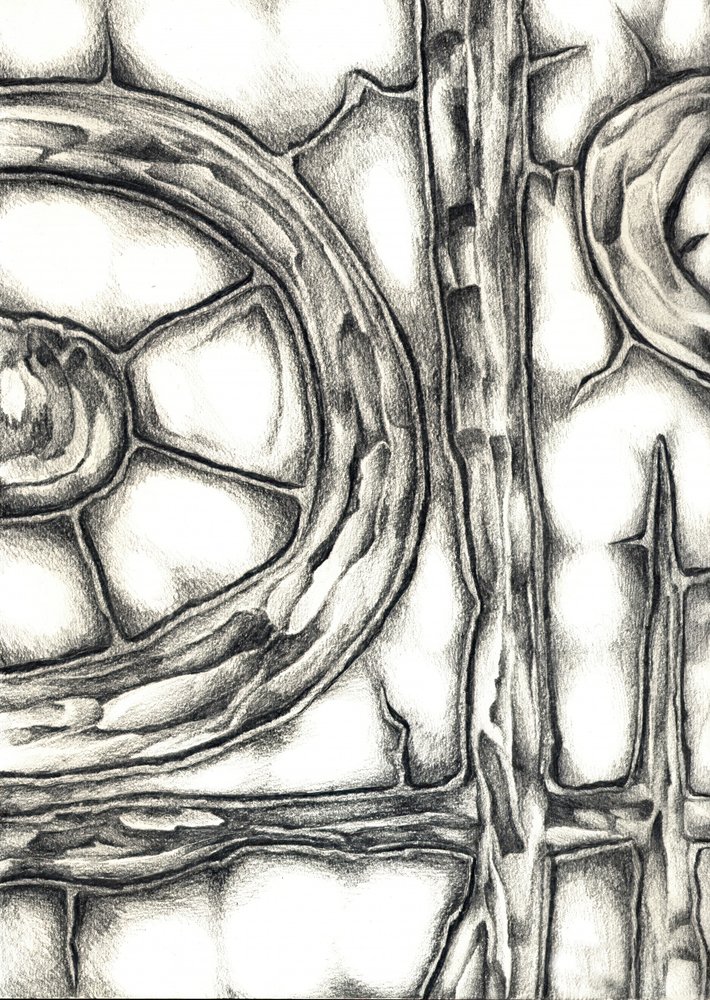 Organic Interlocking Forms by Kulik