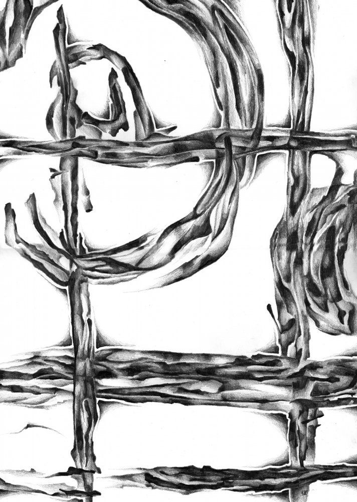 Organic Intertwined Lines by Kulik