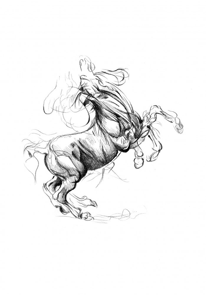 Rearing Horse Sketch by Kulik