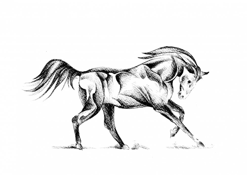 Stylized Horse Drawing by Kulik