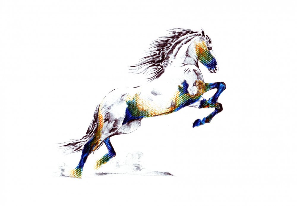 Vibrant Rearing Horse by Kulik