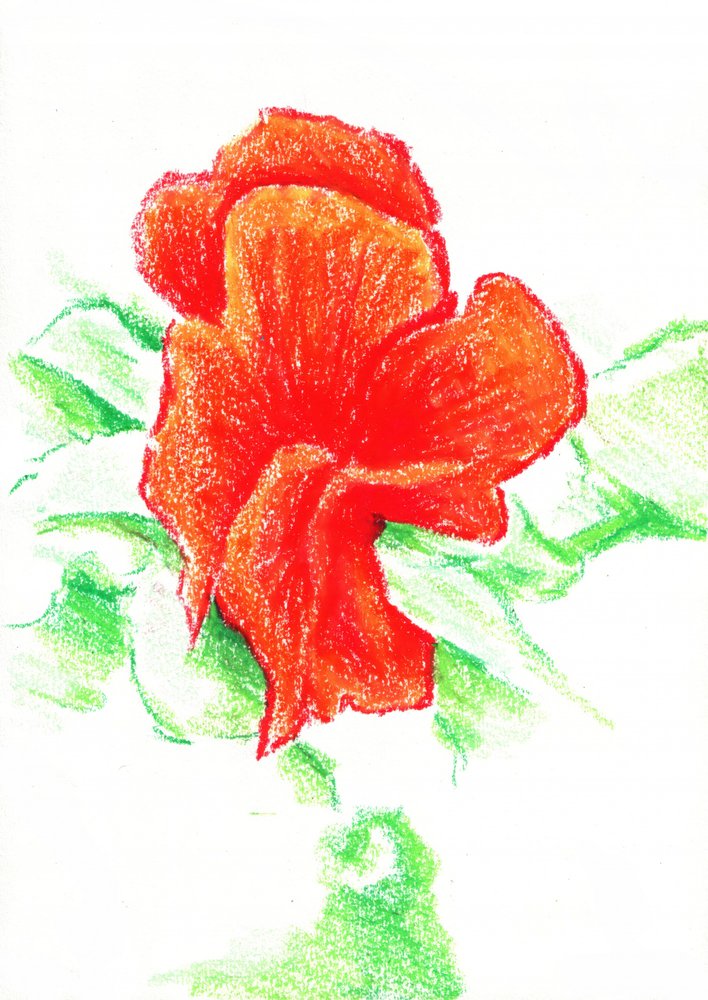Vibrant Red Bloom by Kulik