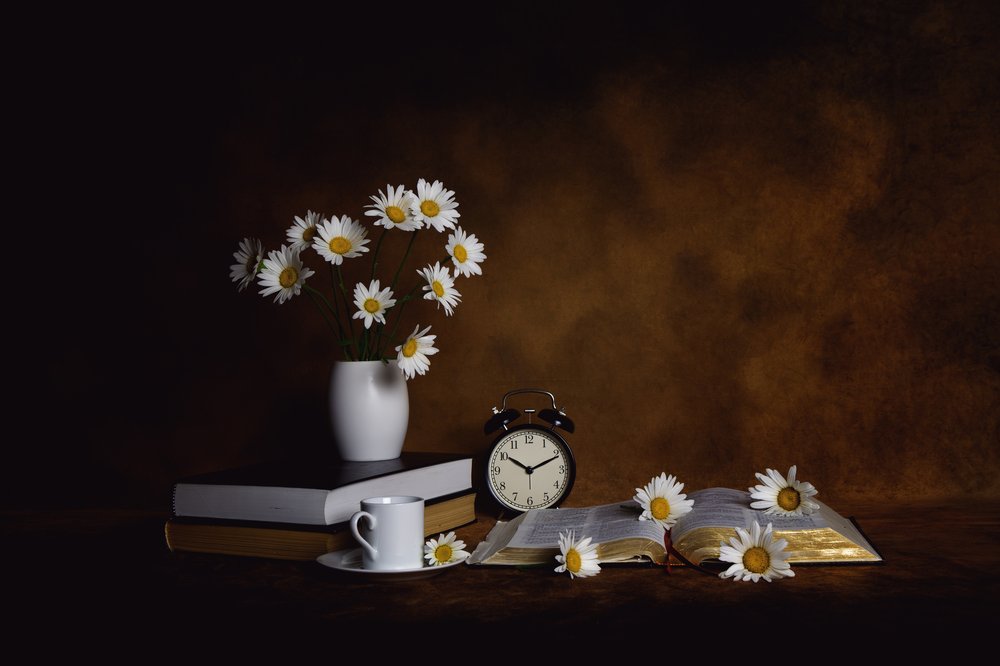 Daisies Books Morning Peace by Leah Xu